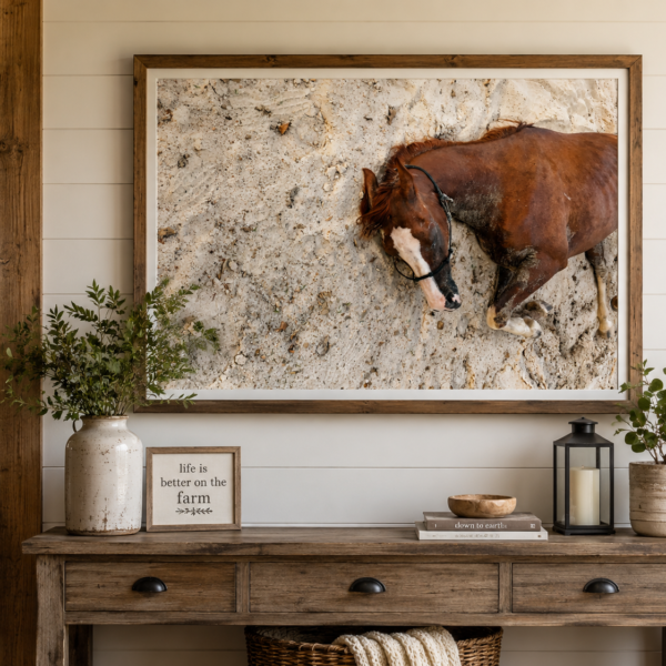 The Solace Horse – Wall Art